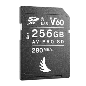 Angelbird AV PRO SD MK2 V60 256GB