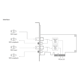 Magewell Pro Capture Dual SDI