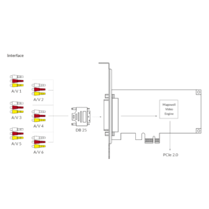 Magewell Pro Capture Hexa CVBS