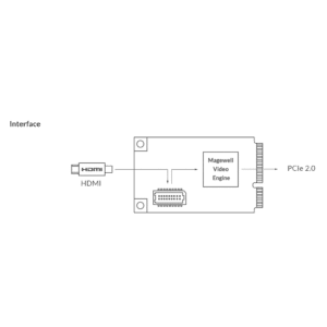 Magewell Pro Capture Mini HDMI