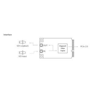 Magewell Pro Capture Mini SDI