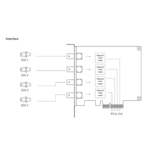 Magewell Pro Capture Quad SDI